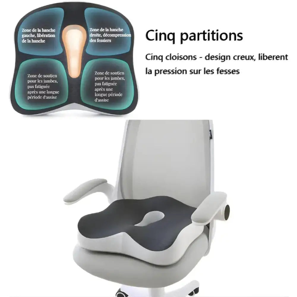 Coussin assise Coccyx