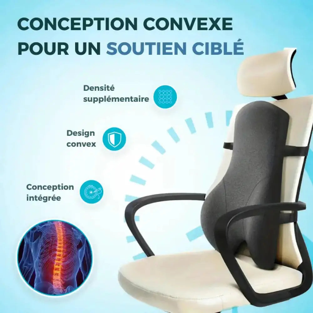 Coussin Lombaire pour chaise de bureau