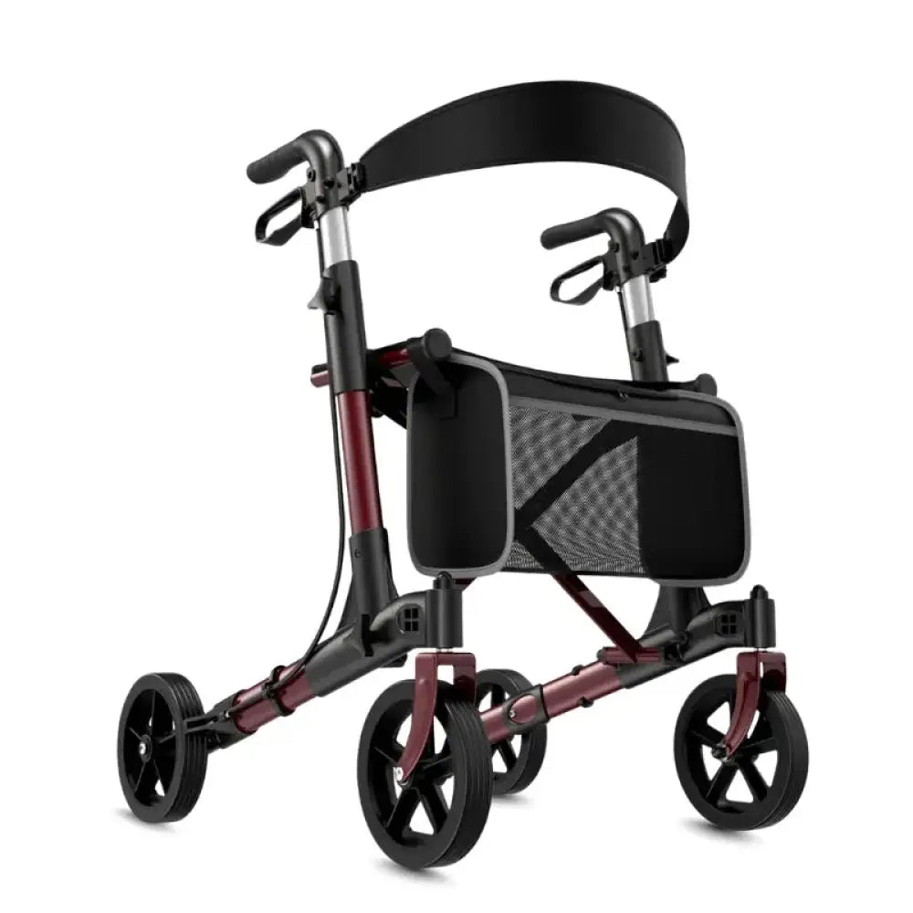rollator Grandes Roues