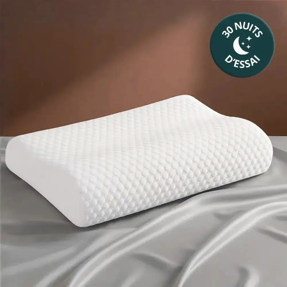 Oreiller Mémoire de Forme moelleux